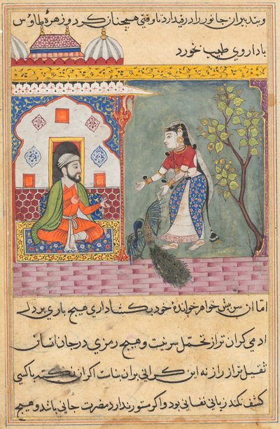 Side fra Tales of a Parrot Tuti-nama: Nittende natt: Brahmans kone..., ca. 1560. av Unbekannt