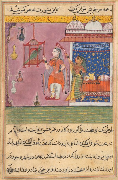 Side fra Tales of a Parrot Tuti-nama: Nittende natt: Papegøyen adresserer..., ca. 1560. av Unbekannt