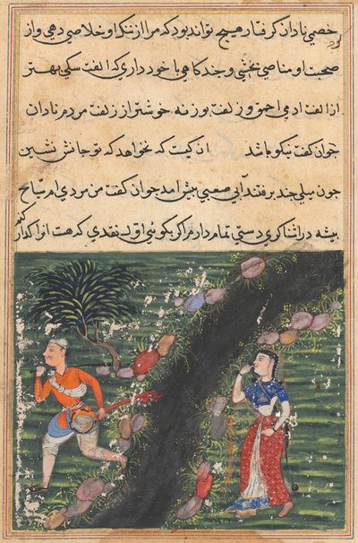 Side fra Tales of a Parrot Tuti-nama: Sekstende natt: Vagabonden krysser..., ca. 1560. av Unbekannt