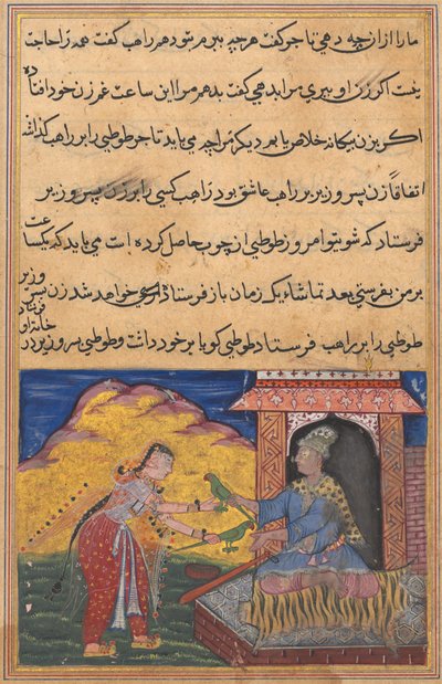 Side fra Tales of a Parrot Tuti-nama: Tiende natt: Visirens kone sender magien..., ca. 1560. av Unbekannt