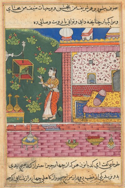 Side fra Tales of a Parrot Tuti-nama: Trettiende natt: Papegøyen henvender seg til Khujasta..., ca. 1560. av Unbekannt