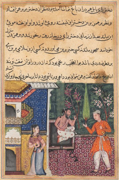 Side fra Tales of a Parrot Tuti-nama: Trettifemte natt: Brahmanen gir..., ca. 1560. av Unbekannt