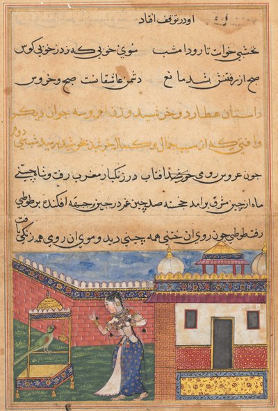 Side fra Tales of a Parrot Tuti-nama: Trettiandre natt: Papegøyen henvender seg til Khujasta..., c156 av Unbekannt