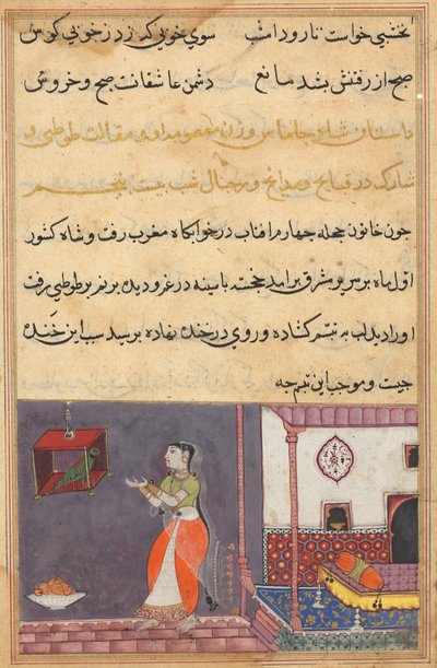 Side fra Tales of a Parrot Tuti-nama: Tjuefemte natt: Papegøyen henvender seg til Khujasta..., c1560 av Unbekannt