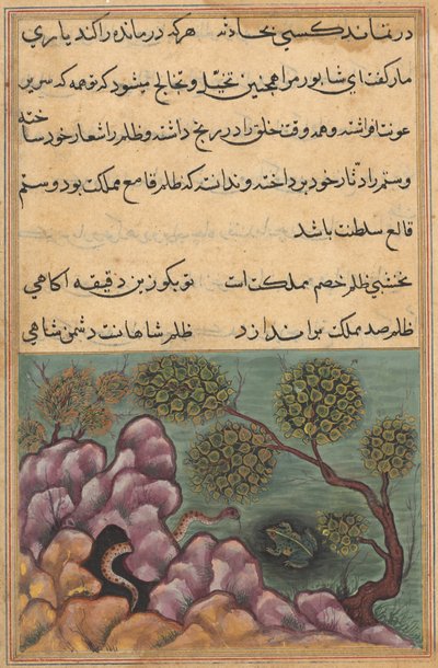 Side fra Tales of a Parrot Tuti-nama: Twenty-sixth night: The detthroned frog..., ca. 1560. av Unbekannt
