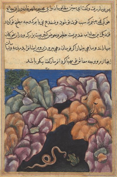 Side fra Tales of a Parrot Tuti-nama: Tjuesette natt: Slangen kommer inn..., ca. 1560. av Unbekannt