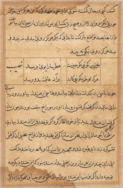 Side fra Tales of a Parrot Tuti-nama: tekstside, ca. 1560. av Unbekannt