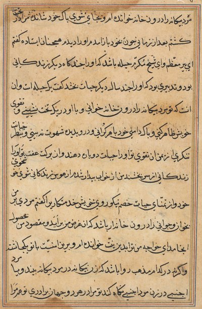 Side fra Tales of a Parrot Tuti-nama: tekstside, ca. 1560. av Unbekannt