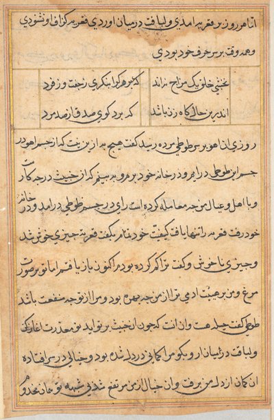 Side fra Tales of a Parrot Tuti-nama: tekstside, ca. 1560. av Unbekannt