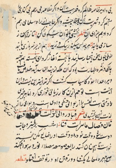 Side fra Tales of a Parrot Tuti-nama: tekstside, ca. 1560. av Unbekannt
