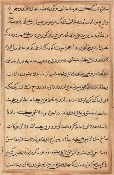 Side fra Tales of a Parrot Tuti-nama: tekstside, ca. 1560. av Unbekannt