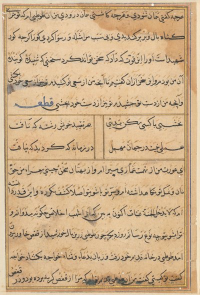 Side fra Tales of a Parrot Tuti-nama: tekstside, ca. 1560. av Unbekannt