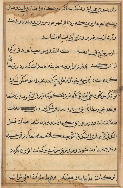 Side fra Tales of a Parrot Tuti-nama: tekstside, ca. 1560. av Unbekannt