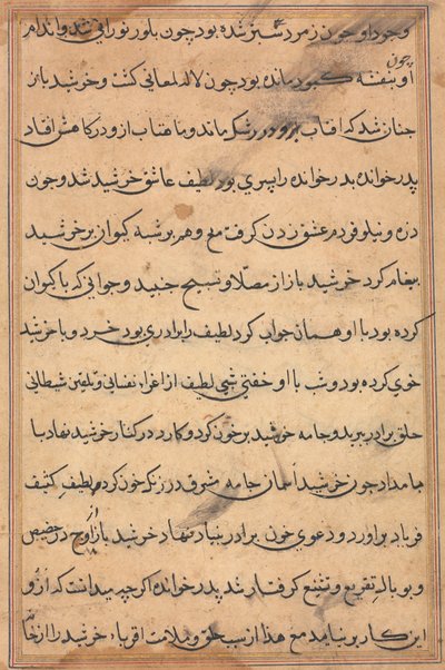 Side fra Tales of a Parrot Tuti-nama: tekstside, ca. 1560. av Unbekannt
