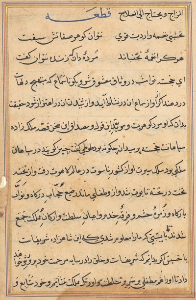 Side fra Tales of a Parrot Tuti-nama: tekstside, ca. 1560. av Unbekannt