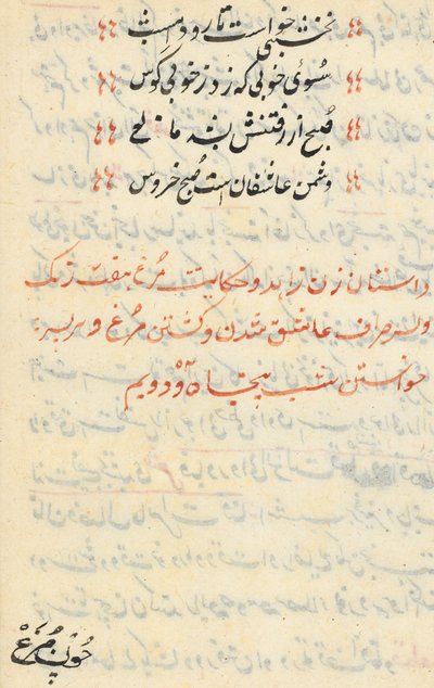 Side fra Tales of a Parrot Tuti-nama: tekstside, ca. 1560. av Unbekannt
