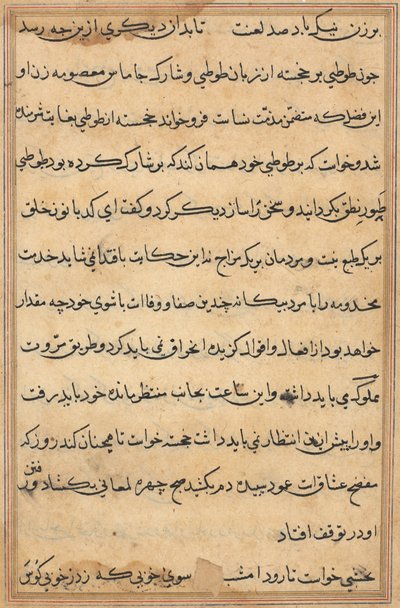 Side fra Tales of a Parrot Tuti-nama: tekstside, ca. 1560. av Unbekannt
