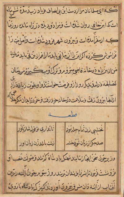 Side fra Tales of a Parrot Tuti-nama: tekstside, ca. 1560. av Unbekannt