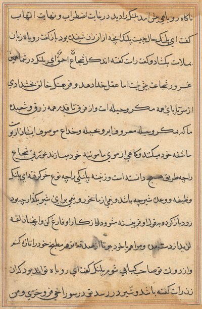Side fra Tales of a Parrot Tuti-nama: tekstside, ca. 1560. av Unbekannt