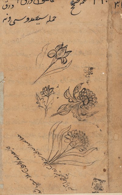 Side fra Tales of a Parrot Tuti-nama: tekstside, ca. 1560. av Unbekannt