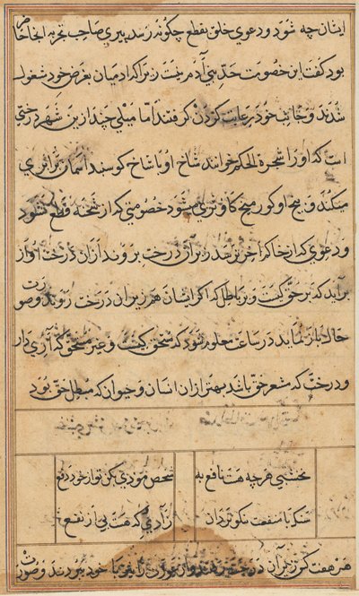 Side fra Tales of a Parrot Tuti-nama: tekstside, ca. 1560. av Unbekannt
