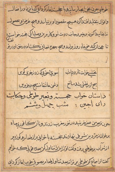 Side fra Tales of a Parrot Tuti-nama: tekstside, ca. 1560. av Unbekannt