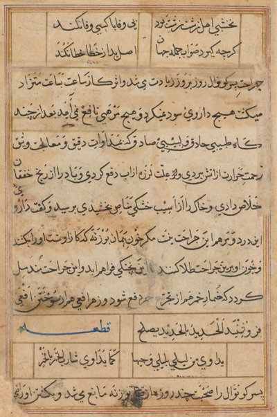 Side fra Tales of a Parrot Tuti-nama: tekstside, ca. 1560. av Unbekannt