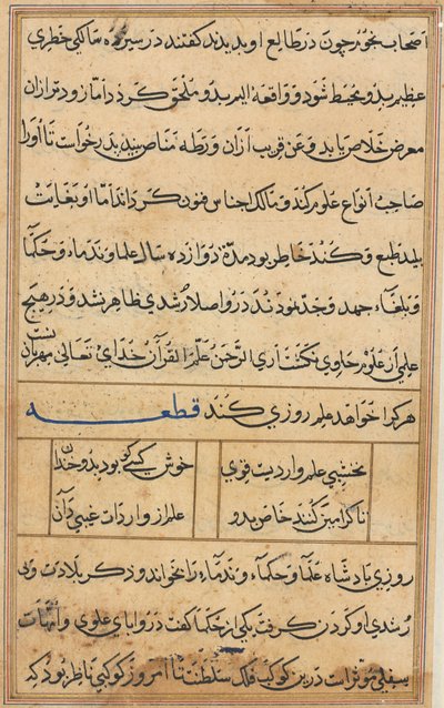 Side fra Tales of a Parrot Tuti-nama: tekstside, ca. 1560. av Unbekannt