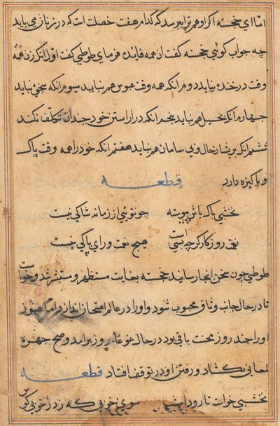 Side fra Tales of a Parrot Tuti-nama: tekstside, ca. 1560. av Unbekannt