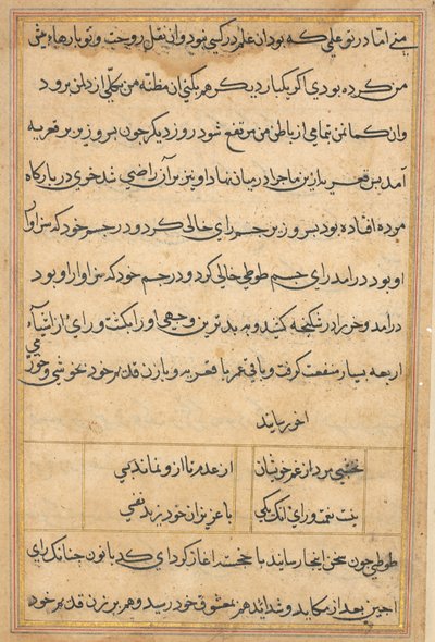 Side fra Tales of a Parrot Tuti-nama: tekstside, ca. 1560. av Unbekannt