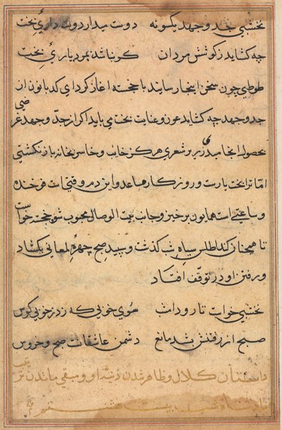 Side fra Tales of a Parrot Tuti-nama: tekstside, ca. 1560. av Unbekannt