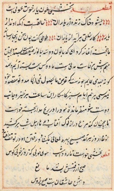 Side fra Tales of a Parrot Tuti-nama: tekstside, ca. 1560. av Unbekannt