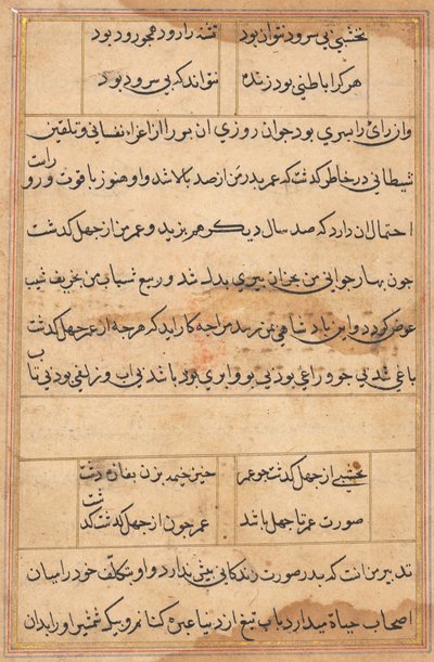 Side fra Tales of a Parrot Tuti-nama: tekstside, ca. 1560. av Unbekannt