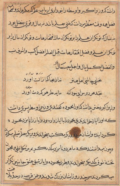 Side fra Tales of a Parrot Tuti-nama: tekstside, ca. 1560. av Unbekannt