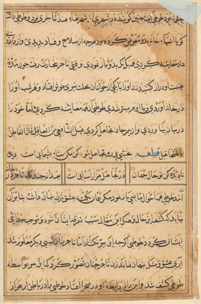 Side fra Tales of a Parrot Tuti-nama: tekstside, ca. 1560. av Unbekannt