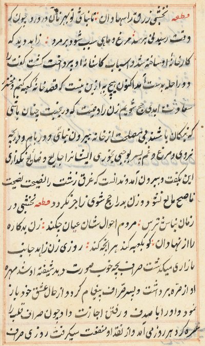 Side fra Tales of a Parrot Tuti-nama: tekstside, ca. 1560. av Unbekannt