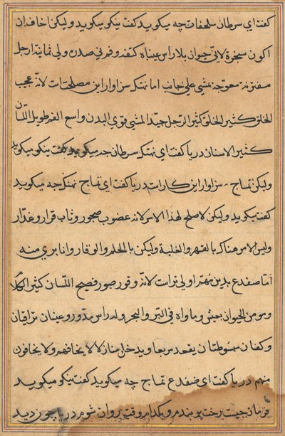 Side fra Tales of a Parrot Tuti-nama: tekstside, ca. 1560. av Unbekannt