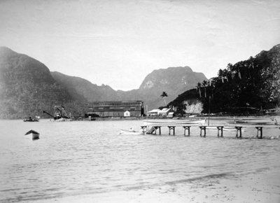 Pago Pago havn, på øya Tutuila, Amerikansk Samoa, 1889 av Unbekannt
