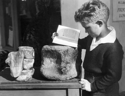Palos Verdes, California: ca. 1927 En ung gutt studerer arkeologi med bruk av fossiliserte forhistoriske ryggvirvler funnet i de nærliggende åsene. (s/hvitt bilde) av Unbekannt