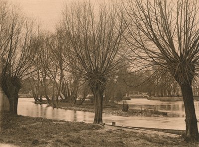 Pangbourne Weir, 1902 av Unbekannt