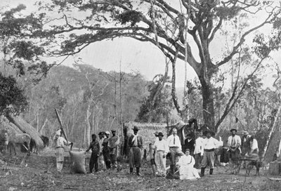 Paraguayansk tesamling, Paraguay, 1911 av Unbekannt
