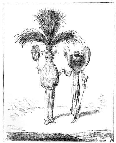 Parasoller for 1795 av Unbekannt