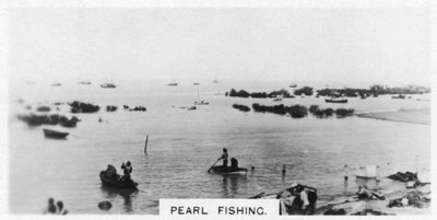 Perlefiske, Australia, 1928 av Unbekannt