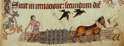 Bønder som pløyer fra Luttrell Psalter, ca 1330 av Unbekannt