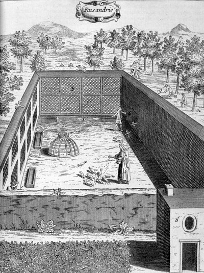 Fasaner, 1775 av Unbekannt