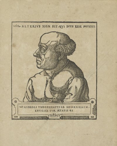 Philippus Theophrastus Aureolus Bombastus von Hohenheim Paracelsus, ca 1538. av Unbekannt
