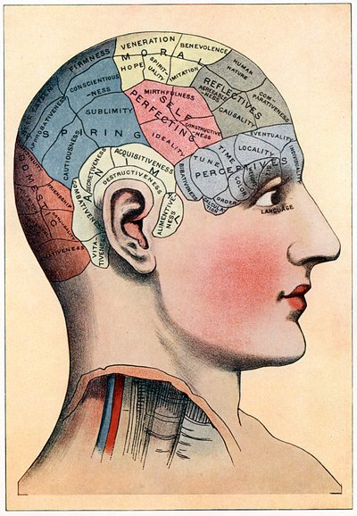Frenologidiagram, som viser antatte aktivitetsområder i hjernen, c1920 av Unbekannt