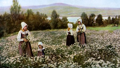 Plukker blomster i en eng nær Leksand, Sverige, c1923 av Unbekannt