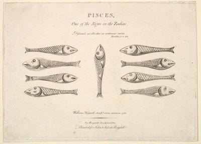 Fiskene: Hogarths Quadrille Fish, ca. 1730. av Unbekannt