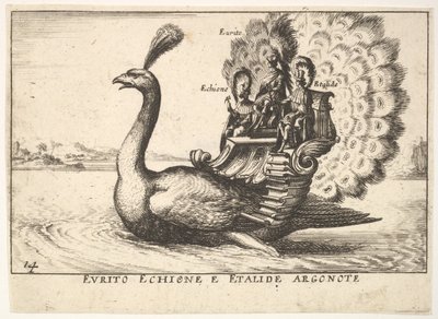 Plate 14: Argonautene Eurytus, Echion og Aethalides Eurito Echione e Etalide Argonote..., 1664 av Unbekannt